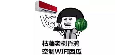 热门吃瓜都在哪里看,一网打尽全网热门话题