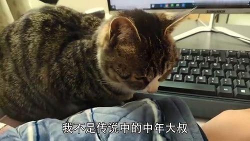 黑料吃瓜网在线观看喵小吉
