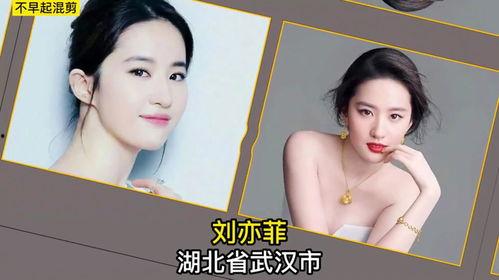 假装明星网红国外视频,揭秘明星网红的奢华生活幕后