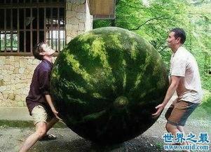 全球热门大瓜排行榜,揭秘近期热点事件风云录