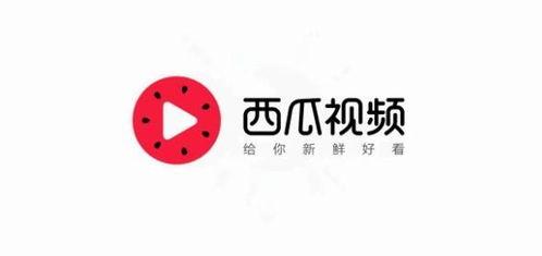 今日头条摘瓜视频,揭秘娱乐圈幕后故事
