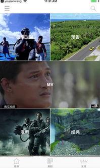 大锤爆料吃瓜视频大全下载,吃瓜视频大全下载，揭秘娱乐圈幕后故事