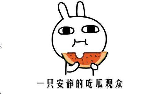 最新最热门吃瓜事件新闻,揭秘明星隐私风波背后的真相
