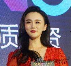 家宴明星网红是谁,揭秘当红明星网红的私房菜秘籍