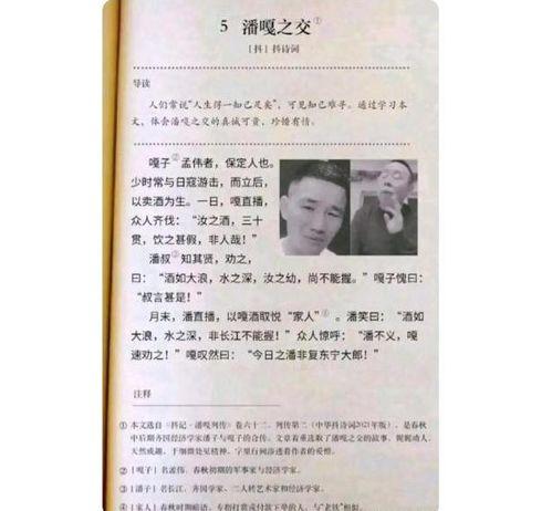 开放授权的明星网红,揭秘网红明星背后的开放授权力量