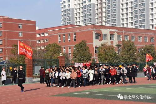 热门新瓜河南某实验中学,揭开校园安全与教育监管的隐忧”