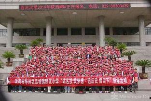 瓜坡镇今日新闻,聚焦乡村振兴，共话发展新篇章