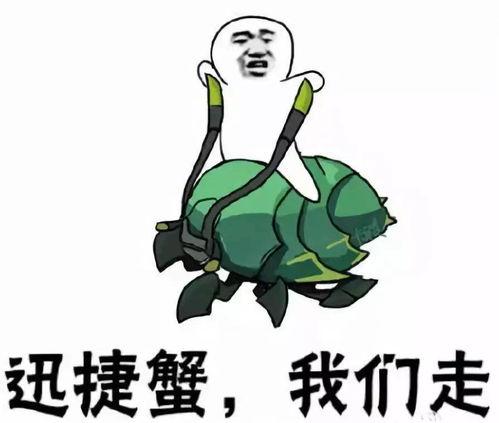 飞瓜搞笑热门音乐大全,笑点与旋律的完美融合
