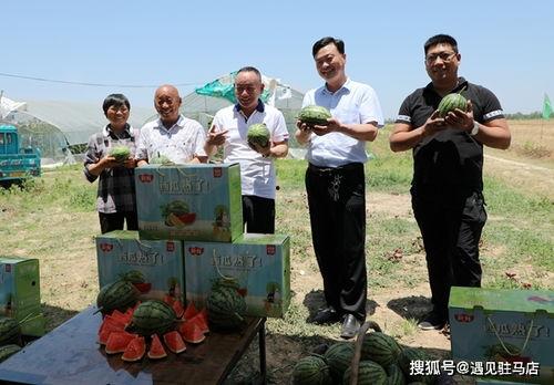 沾化区吃瓜最新事件爆料,揭秘背后真相与争议
