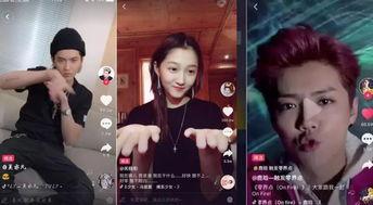 明星网红离世视频播放,网红明星离世视频引发全网哀思