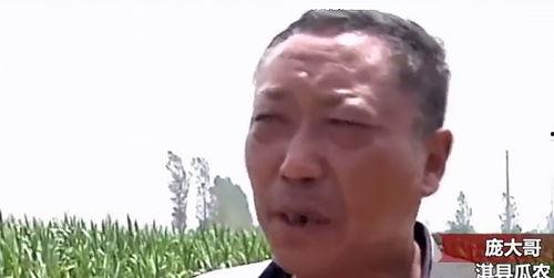 赵一菲吃瓜热门事件