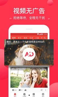河美吃瓜爆料视频下载免费,揭秘热门视频背后的免费下载秘密