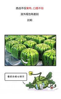 武汉吃瓜群众最新爆料事件,揭秘背后惊人真相