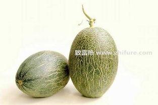 哈密瓜今日价格行情瓜园,瓜园今日行情一览