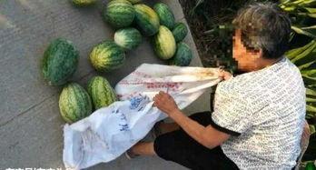 近期石家庄热门吃瓜事件,揭秘近期热门吃瓜事件背后的真相