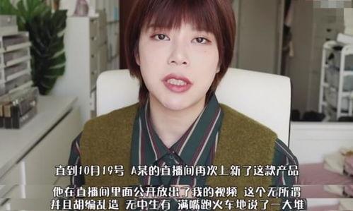 网红明星网络暴力视频,网红明星网络暴力视频深度剖析