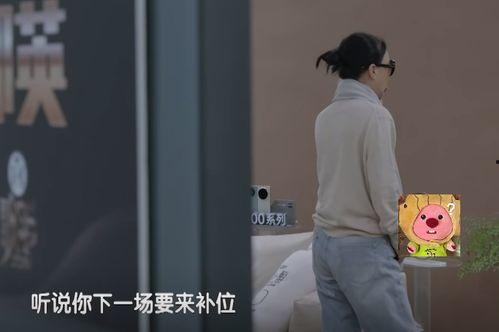 明星网红翻车有哪些,揭秘网络红人背后的真相与教训