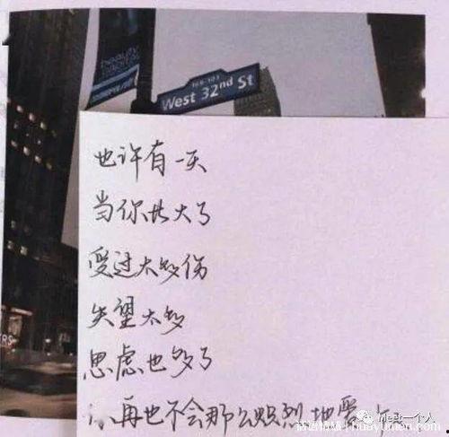 小瓜水饺的文案热门短句,美味瞬间，文案短句诠释生活滋味