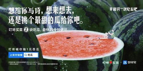 今日吃瓜文案图片大全,盘点热门图文笑料集锦