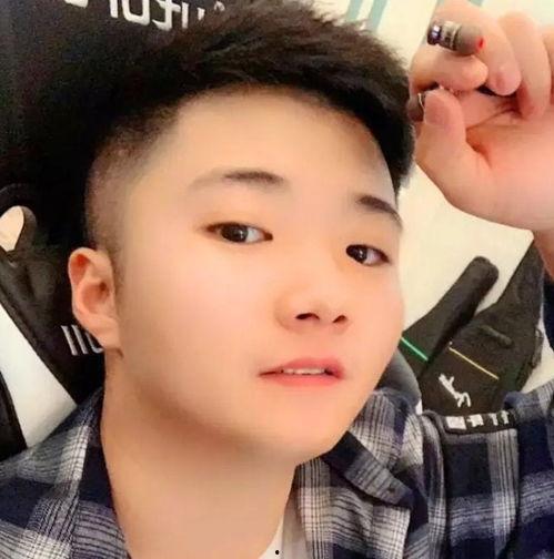 明星网红哪个更有钱