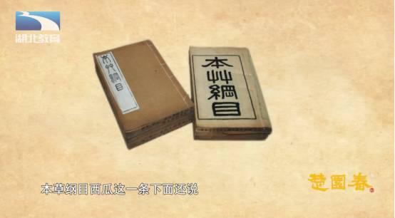 热门瓜解压密码是多少,轻松解锁生活压力的神秘钥匙