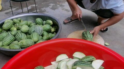 今日份吃瓜有点撑,小心撑到肚子哦！