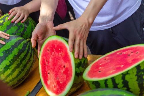 51吃瓜今日吃瓜二舅,揭秘今日热门话题“吃瓜二舅”背后的故事