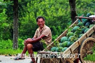 51吃瓜今日吃瓜二舅,揭秘今日热门话题“吃瓜二舅”背后的故事