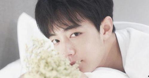 肖战王一博吃瓜爆料,娱乐圈的甜蜜与争议