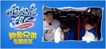 明星网红同款椅子,明星效应下的家居时尚新宠