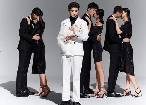 明星网红同款椅子,明星效应下的家居时尚新宠