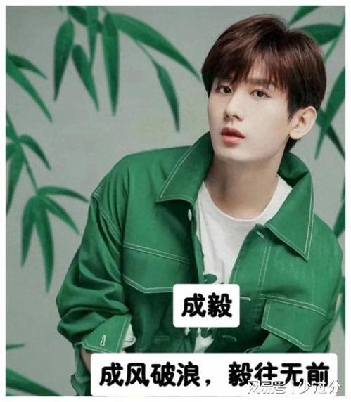 应援明星网红是谁,粉丝力量见证成长