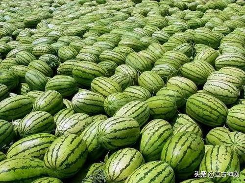 小叮当的一家黑料吃瓜,吃瓜群众热议背后的真相