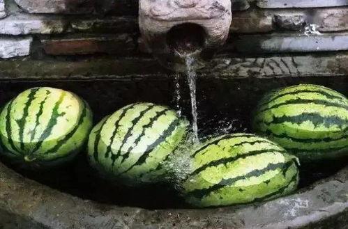 小叮当的一家黑料吃瓜,吃瓜群众热议背后的真相