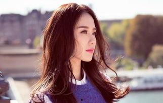 全网粉丝最多明星网红,揭秘流量密码与影响力传奇