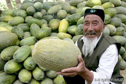 热门话题新疆哈密瓜,甜蜜果实背后的丝路传奇