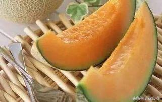 热门话题新疆哈密瓜,甜蜜果实背后的丝路传奇