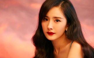 哪些明星网红喜欢鹿,跟随明星网红的脚步，探寻鹿的时尚魅力