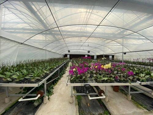 吃瓜群爆料大棚是真的吗,大棚真相揭秘，究竟是真的吗？