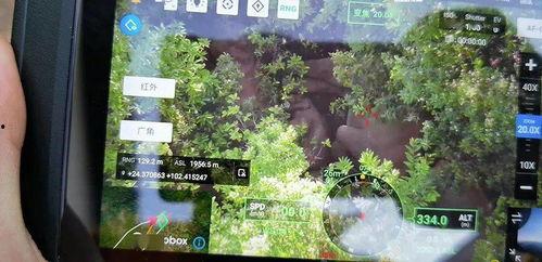 吃瓜群黑料不打烊徐梦滢