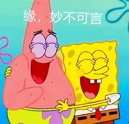 海绵宝宝讽刺明星网红