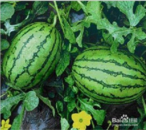 福建热门吃瓜事件真相