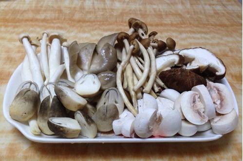 蘑菇视频爆料黑料吃瓜免费,揭秘娱乐圈黑料，免费吃瓜大揭秘！