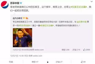 明星网红话题文案短句,揭秘网络红人的魅力与影响力