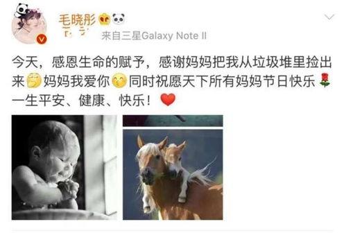 感谢明星网红朋友的话,致我最亲爱的明星网红朋友