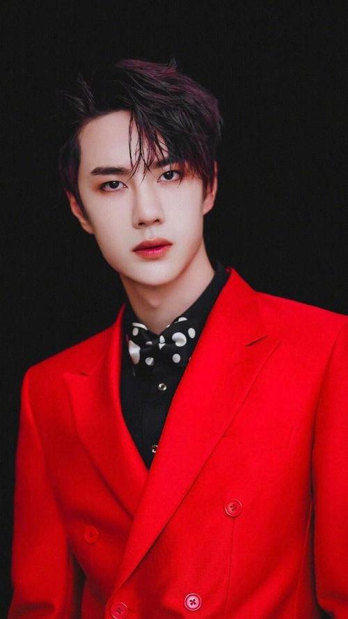 凌博士明星网红推荐