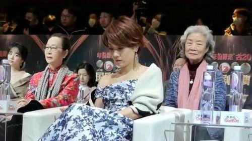 明星网红排在什么阶层,社会阶层中的璀璨星辰